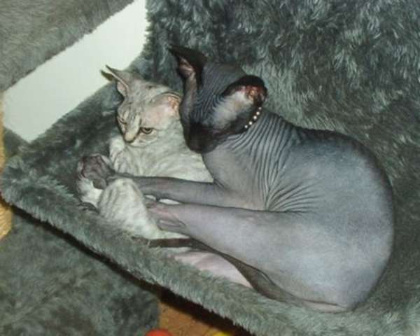 In the radiator bed